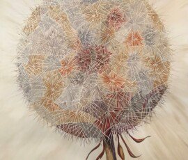 Jill Parkinson art - coloured pencil drawing of dandelion clock head